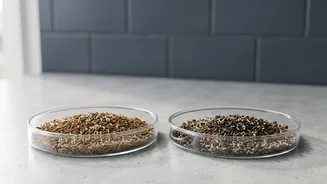 How The FSSAI DART Method Screens For Unusual Cumin Impurities
