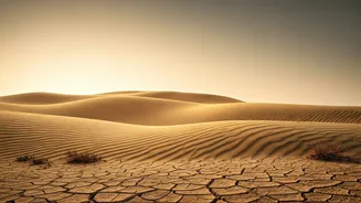 Jaisalmer Looks Unreal In Its Dry Monsoon Mood