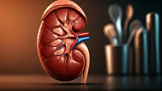5 Common Kidney Diet Mistakes: Expert Insights from a Kidney Dietitian