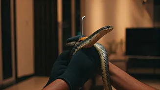 Reptilian Visitor: Snake Rescued from Salman Khan's Mumbai Residence