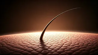 Unveiling the Hidden Triggers of Alopecia Areata: 5 Common Habits to Reconsider