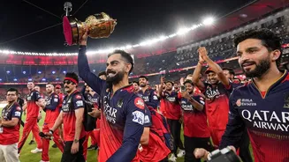 RCB Playoff History: Ranking Royal Challengers Bengaluru Greatest Ipl Playoff Performances