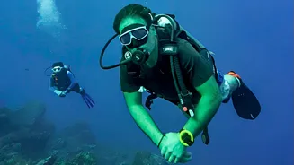 Rahul Gandhi marks World Environment Day with scuba dive, questions Great Nicobar project
