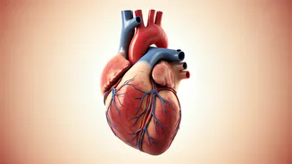 Stress Management: A Cardiologist's Guide for Women's Heart Health