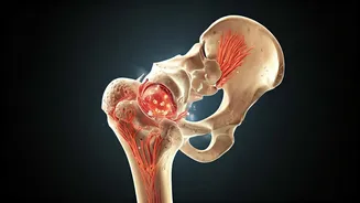 Unmasking Osteoporosis: Lifestyle's Silent Threat to Bones