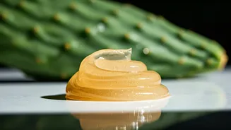 Honey Cactus Gel Is The Beauty Curiosity To Save