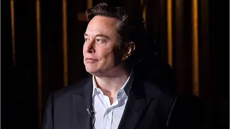 SpaceXAI is hiring! Musk says no prior AI experience needed