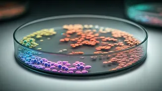 Antibiotic Resistance: A Growing Concern