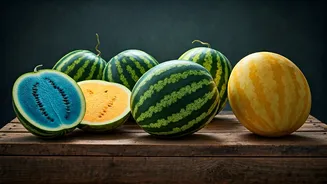 Haryana Farmer's 'Rainbow Watermelons': A Spectrum of Flavor and Profit