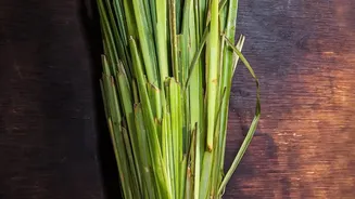 Slow-Extracted Lemongrass Teas Deliver Subtle Botanical Notes Without The Harshness Of Heat