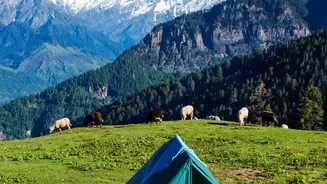 How Adventure Enthusiasts Pick High Altitude Uttarakhand Valley Treks For Independence Weekend Fun