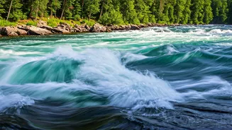 White-Water Chaos Makes Rishikesh A Group Favourite
