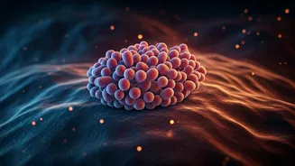 Prebiotics And Probiotics Dominate Indian Wellness Feeds This Week