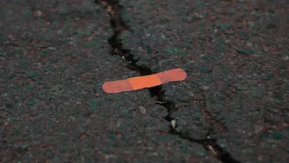 How Self Healing Bacteria Cement Trials Aim To Fix Monsoon Potholes On Roads
