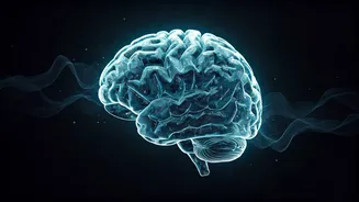 Sam Altman's AGI Warning: Guarding Against Power Grabs in AI's Future