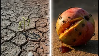 Young Indians Need Better Food-Study Decoding