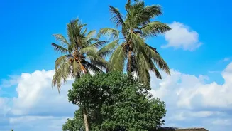 Visitors Get More Direct Guidance on Protecting Kerala's Destinations