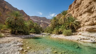 How Smart Flight Booking Helps Indian Backpackers Experience Oman Wadis On Budget