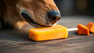 Ditch Industrial Dog Chews For Pureed Pumpkin Enrichment Pops