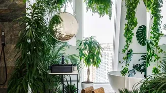 Tropical Home Garden Plants: How To Mix Tropical Plants And Foliage