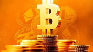 Sovereign Gold Bonds vs Gold ETFs Choosing Digital Gold Options Without Storage Fees