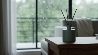 Why Homes Smell Musty During Monsoon And What Can Help