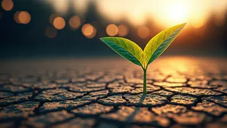 Embrace the Present: Life Isn't a Waiting Room, It's Happening Now!