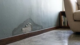 After the Monsoon, Give Your Home a Proper Moisture Check