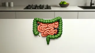 Gastroenterologist's 3-Step Guide to Shedding Stubborn Belly Fat at Home