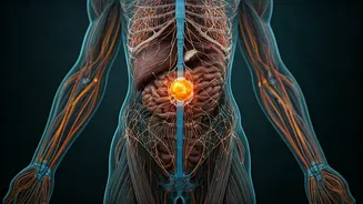 Beyond Trends: Understanding Your Unique Nutritional Needs