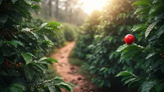 Escape the City: Top Weekend Getaways Near Bengaluru for Every Traveler