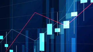 Private Credit In India: The Basics Before You Consider The Trend