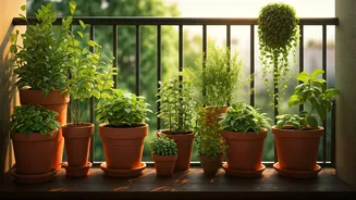 Easy Green Upgrades For Small Balconies