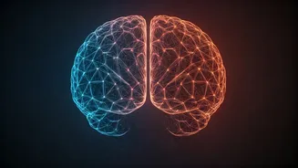 Related Stories banner