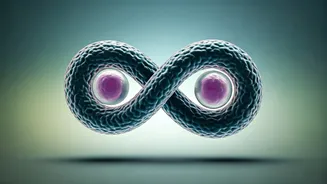 Marriage and Cancer Risk: Unpacking the Surprising Connection for Better Health