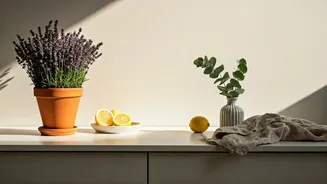 Keep Kitchens And Bedrooms Smelling Fresh Naturally