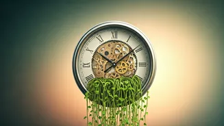 Beyond the Gym: Navigating Burnout and Finding Balance