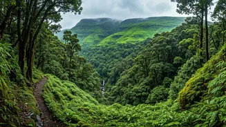 Western Ghats Honeymoons Are Getting Peak Green Conditions