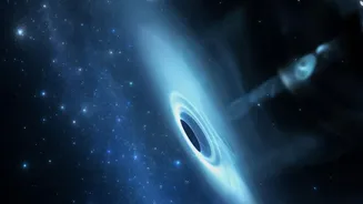 Webb's Little Red Dot Study Makes a Case for Checking Active Black Holes