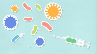 US Cyclospora Outbreak Sparks Monsoon Health Alarm: Should India Worry Too