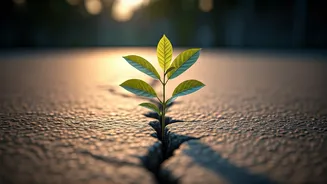 Navigating the Stumbles: Helping Teens Build Resilience Against Failure