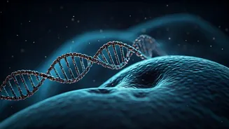 DNA Nanomachines: Tiny Biological Robots Poised to Revolutionize Medicine and Beyond