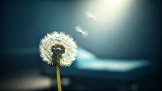 Navigating Emotional Storms: Understanding the Weight of Difficult Health Journeys