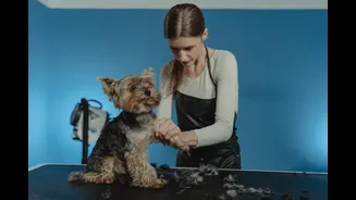 Pet groomers report a Monday rush: why owners are booking trims before the first heavy shower