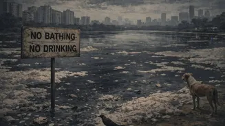 Out Of 147 Lakes, Not One In Bengaluru Is Safe For Bathing or Drinking, Says Government Report