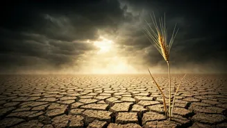Food Inflation Makes Weak Monsoon Hard To Ignore