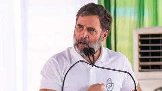 Brazil model voted as 'Seema, Sweety' in Haryana: Rahul Gandhi