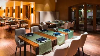 Airport Transit Hacks: Entry-Level Indian Debit Cards Unlock Free Lounge Dining