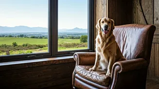 Dogs Are Entering The Slow-Travel Conversation Now