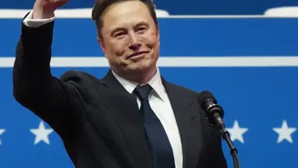Elon Musk's Reported Election Outlay Raises A Cross-Country Policy Question